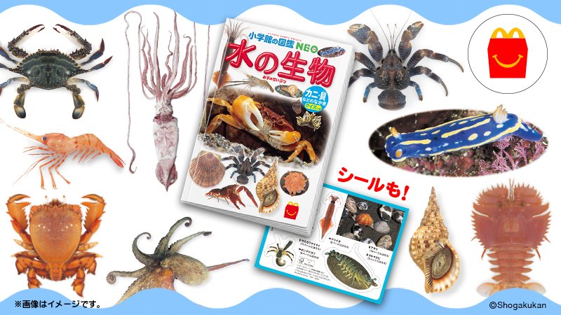 マクドナルド 突然ですが今日は おうち水族館 しませんか ほんのハッピーセットで選べるミニ図鑑 水の生物 カ 22 05 29 俺ノランキング マクドナルド 突然ですが今日は おうち水族館 しませんか ほんのハッピーセットで選べるミニ図鑑 水の生物 カ 22 05 29 俺ノランキング