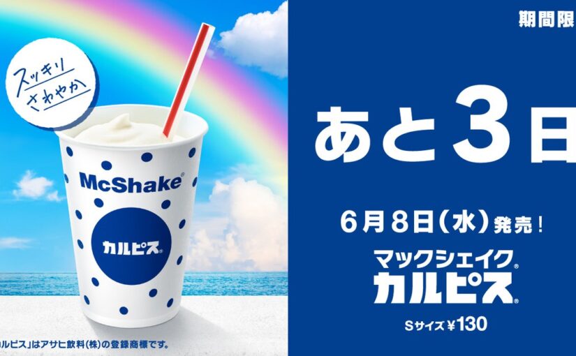 1999 マクドナルド ソルト ペッパー スピーディー レア アドバタイジング Cra Gov Ye