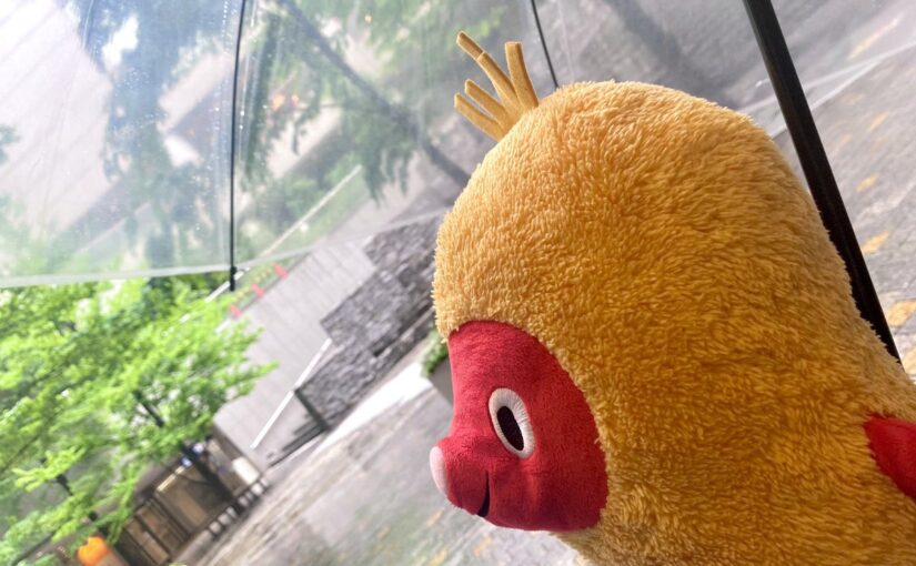 【新宿さぼてん】関東地方も梅雨入りしたね☔️
ボクは雨が苦手だから大きめの傘☂️を持って出てきたよ！
衣が汚れちゃう【22/06/07】