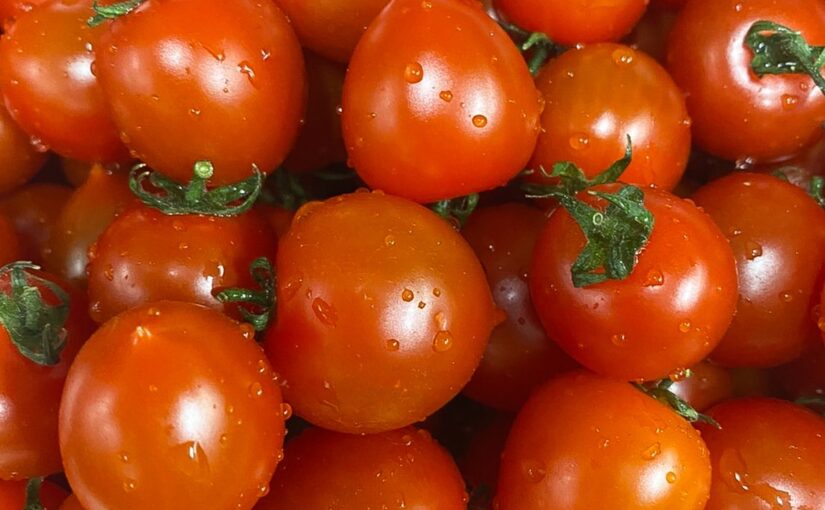 【上等カレー】今回はプチトマトのご紹介！
木下ファームさんの「アマメイド」を使用しています。

名前の通りその甘さ【22/05/02】